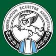 Federaci&oacute;n Ecuestre Argentina