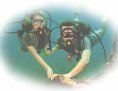 Caribbean. Sitio del Buceo en Cuba