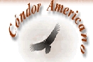 Caracter�sticas generales del c�ndor andino y del c�ndor californiano,estado actual de estas magn�ficas aves,historia relacionada con culturas andinas,fotos de c�ndores, fotos de su h�bitat, trabajos efectuados para lograr su recuperaci�n,noticias actuales.